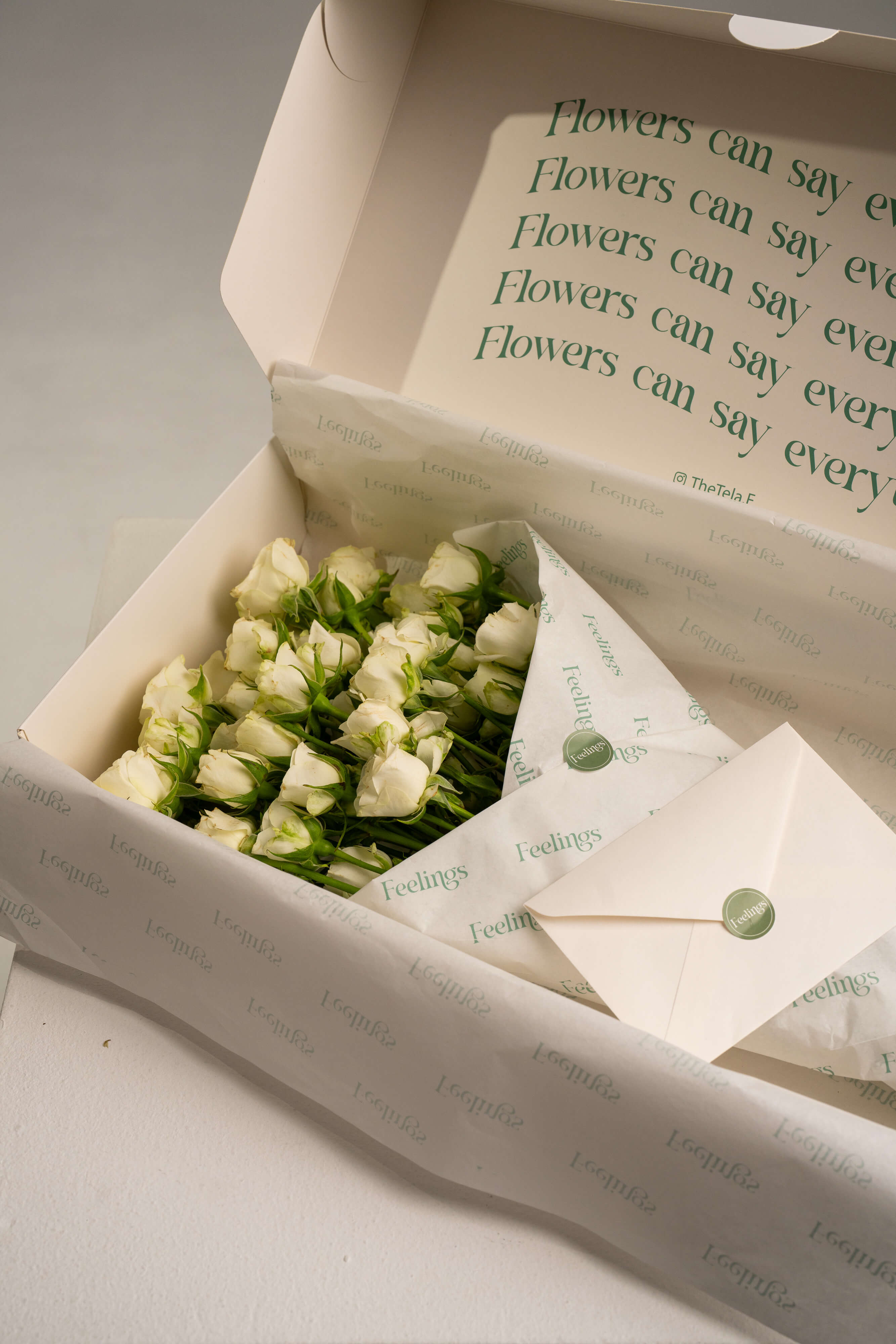 Baby Rose Feelings Box