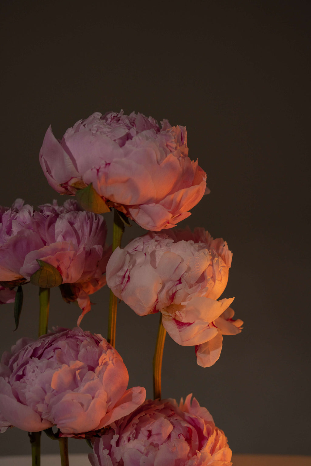 White & Peony Candle Arrangement
