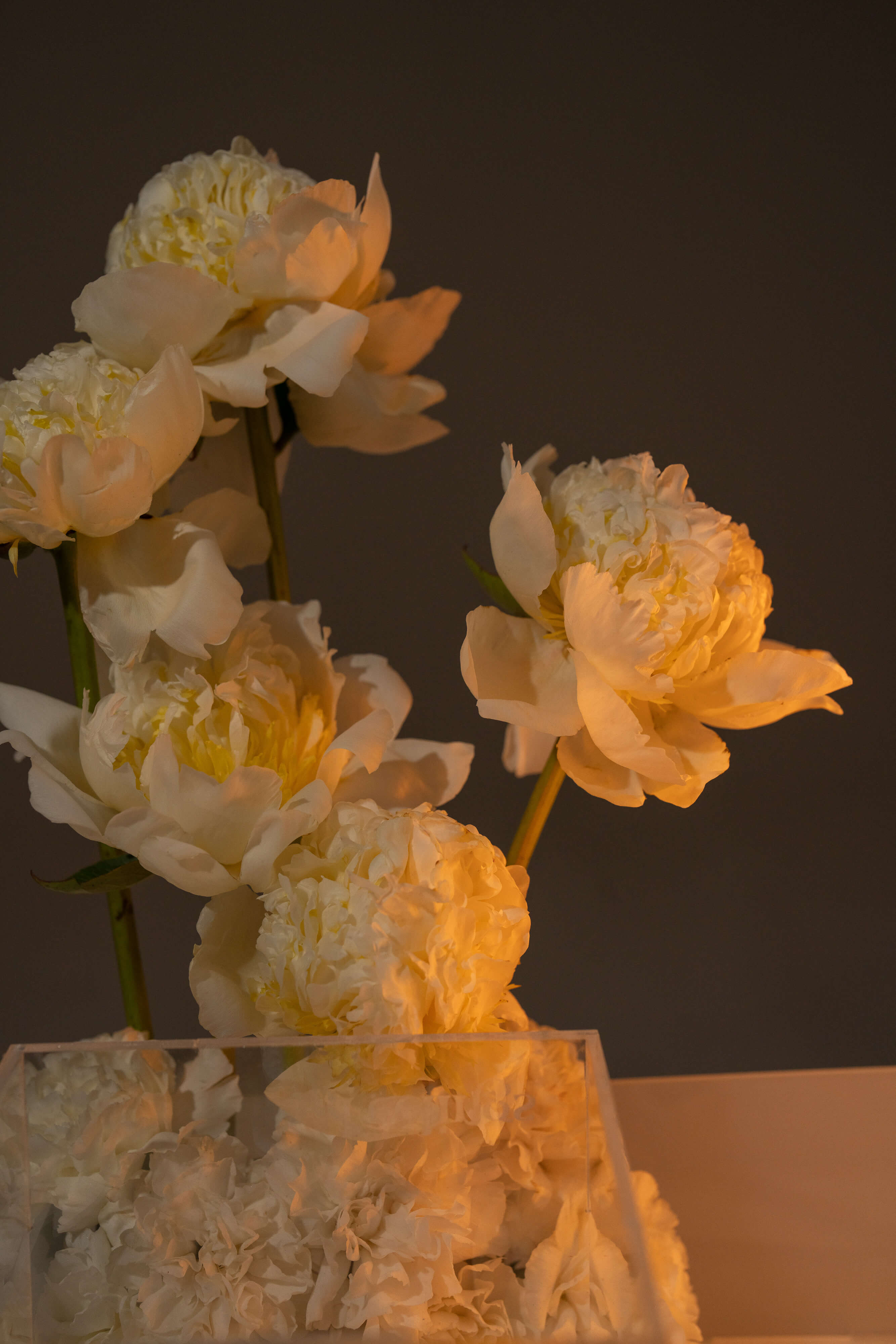 White & Peony Candle Arrangement